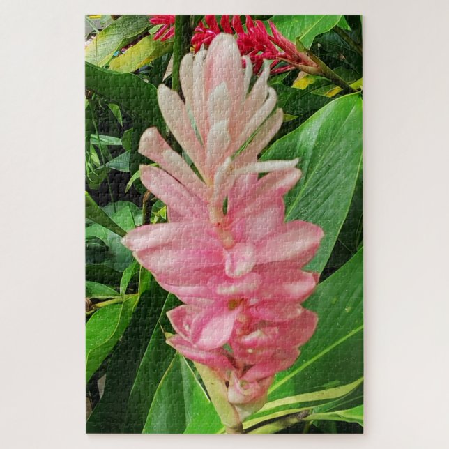Morning Calm: Pale Pink Ginger Flower Soft Petals Jigsaw Puzzle (Vertical)