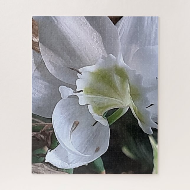 Morning Calm: White Layered Bloom in Natural Light Jigsaw Puzzle (Vertical)
