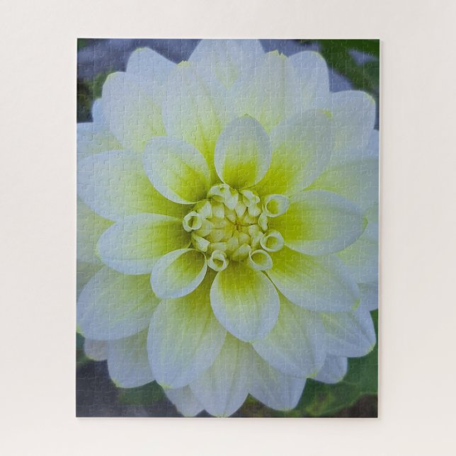 Morning Calm: White Layered Bloom in Natural Light Jigsaw Puzzle (Vertical)