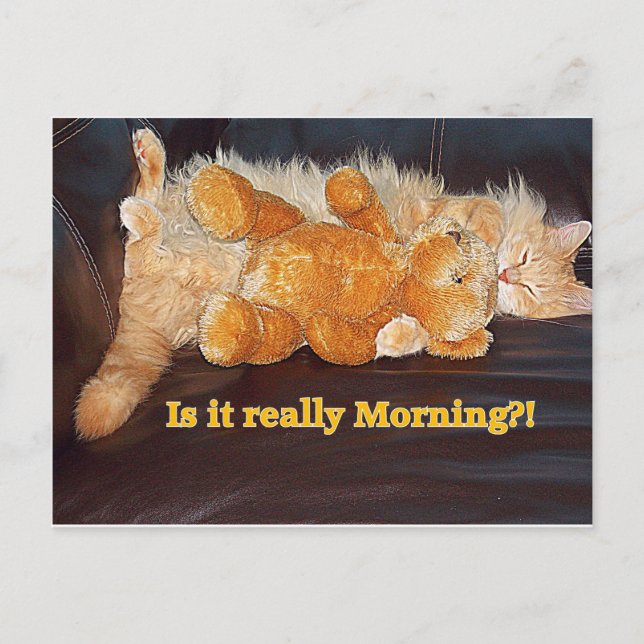 Morning ? Carte postale (Devant)