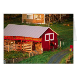 Morning chores on the farm. USA, Vermont,