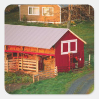 Morning chores on the farm. USA, Vermont,