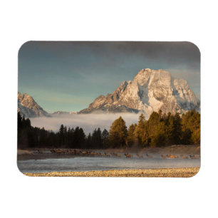 Morning Commute Magnet