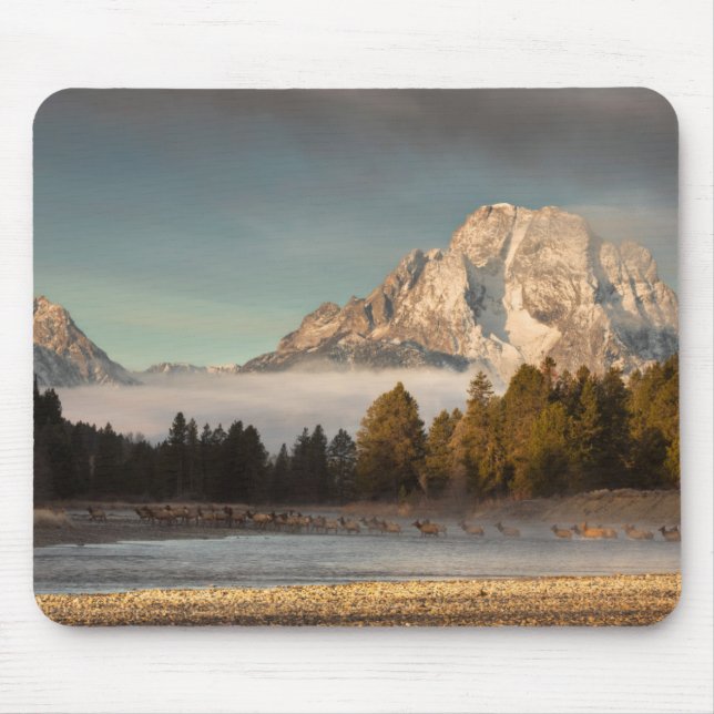 Morning Commute Mouse Pad (Front)