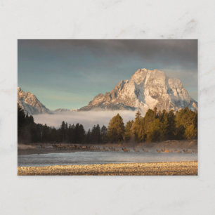 Morning Commute Postcard