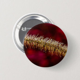 Morning Dew 2 Inch Round Button