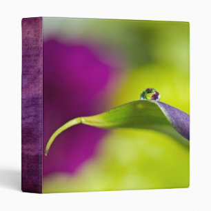 Morning Dew Binder