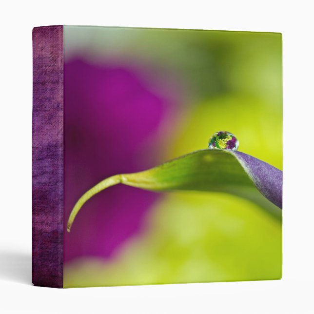 Morning Dew Binder (Front/Spine)