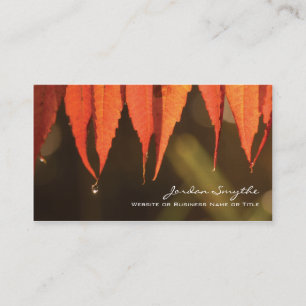 Morning Dew Business Card