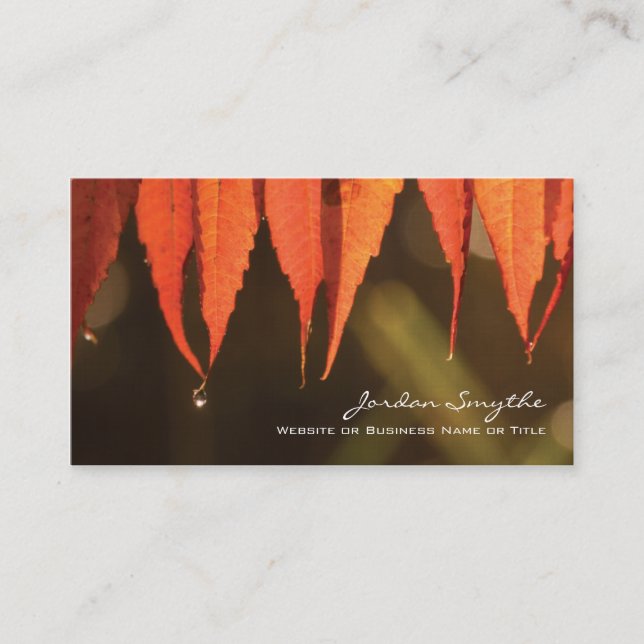 Morning Dew Business Card (Front)