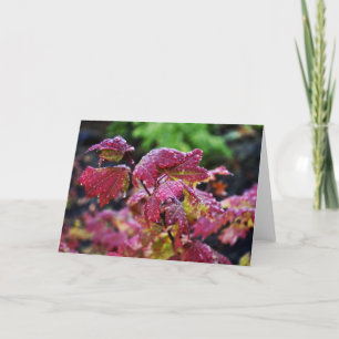 Morning Dew Card