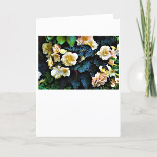 Morning Dew, card