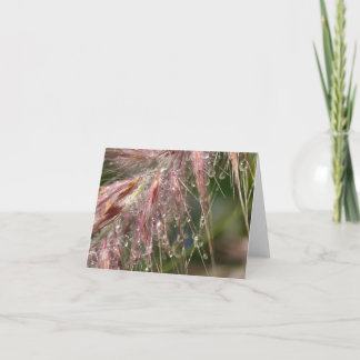 Morning Dew Note Card