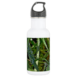 Morning dew on the grass 532 ml water bottle