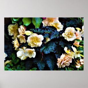 Morning Dew,  Poster