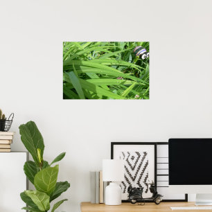 Morning dew poster