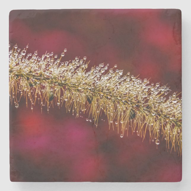 Morning Dew Stone Coaster (Front)