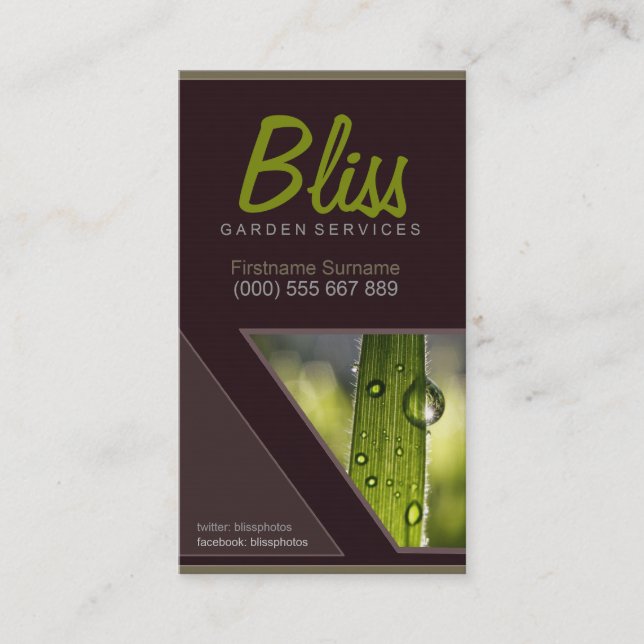 Morning Dew Stylish w/ Photo template Business Business Card (Front)