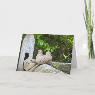 Morning Doves, card