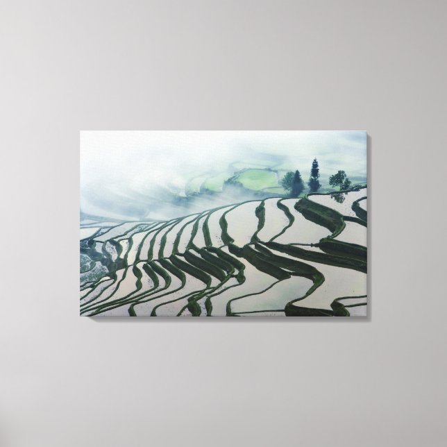 Morning Fog Above Rice Fields Canvas Print (Front)