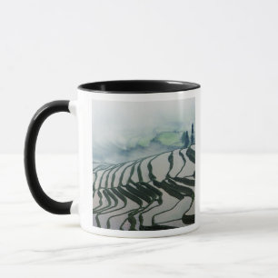 Morning Fog Above Rice Fields Mug
