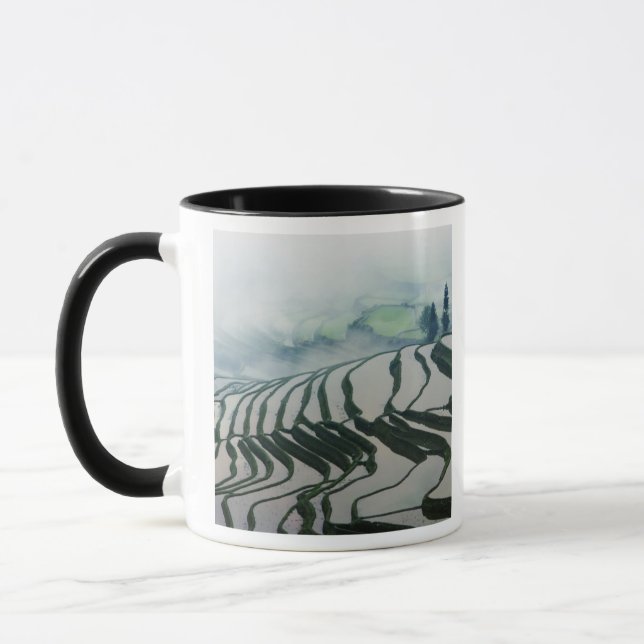 Morning Fog Above Rice Fields Mug (Left)