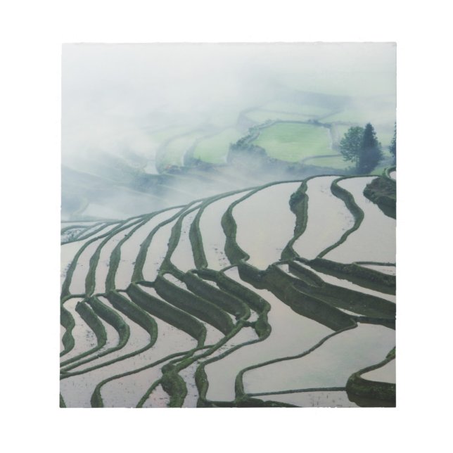 Morning Fog Above Rice Fields Notepad (Front)