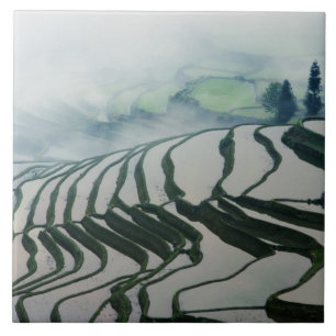 Morning Fog Above Rice Fields Tile