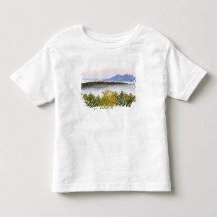Morning fog and the Percy Peaks as seen from the Toddler T-shirt