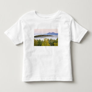 Morning fog and the Percy Peaks as seen from the Toddler T-shirt