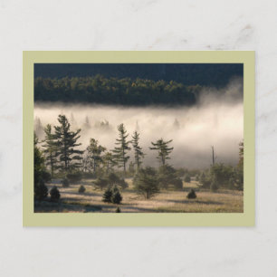 Morning Fog in the Adirondacks Postcard