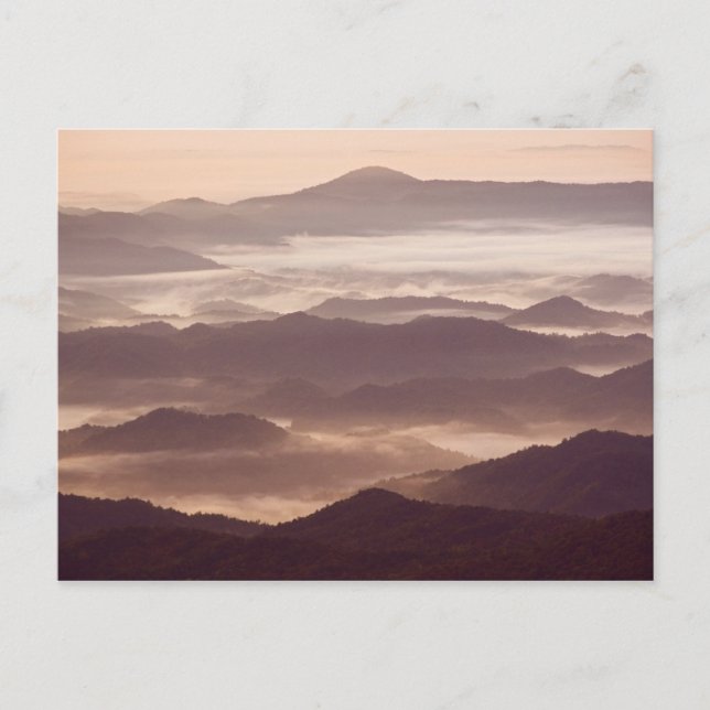Morning fog in the southern Appalachian Postcard (Front)