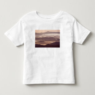Morning fog in the southern Appalachian Toddler T-shirt