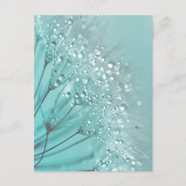 Morning Freshness Postcard (Front)