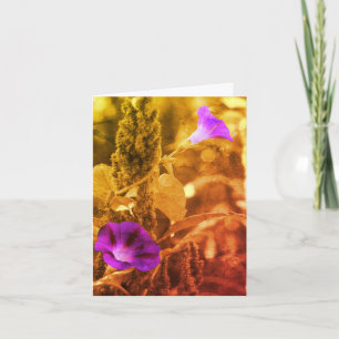 Morning Glories Black And White Note Card