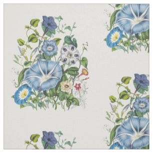 Morning Glories Fabric