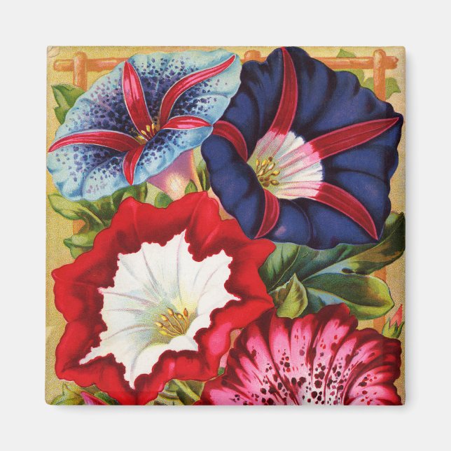 Morning Glories Magnet (Front)