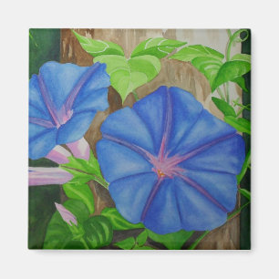 Morning Glories Magnet