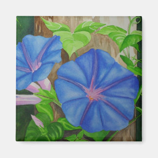 Morning Glories Magnet