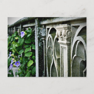 Morning Glories Postcard