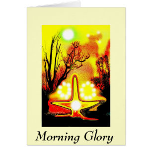 Morning glory
