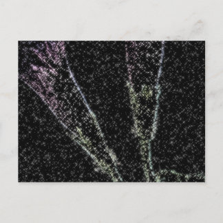 Morning Glory_1f Postcard