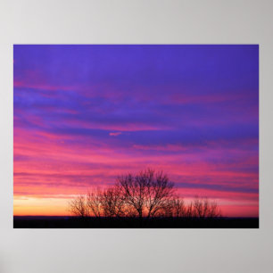 Morning Glory 2 Poster