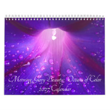 Morning Glory Beauty: Oceans of Colour 2027