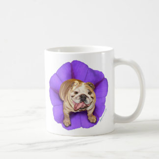 Morning Glory Bulldog Mug