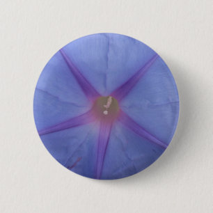 Morning Glory Button
