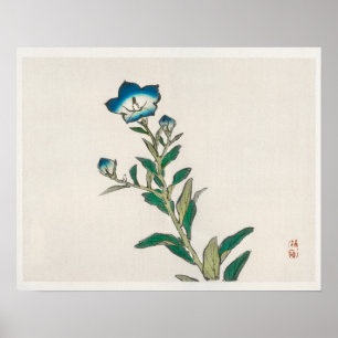 Morning glory by Kōno Bairei (1844-1895) Poster
