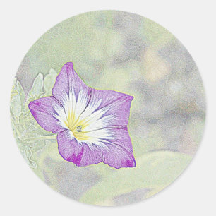 Morning Glory Classic Round Sticker