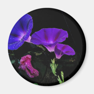 Morning Glory Flower Magnet