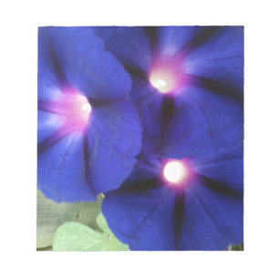 Morning Glory Flower Memo Notepad